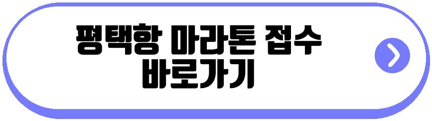 평택항 마라톤