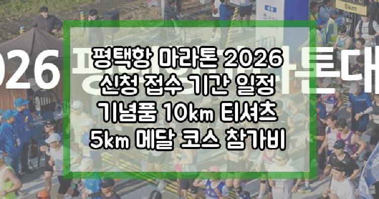 평택항 마라톤