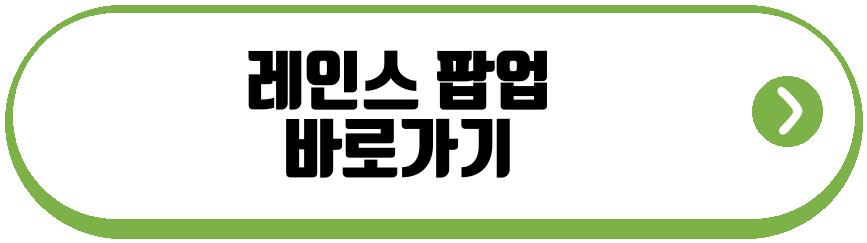 레인스 팝업