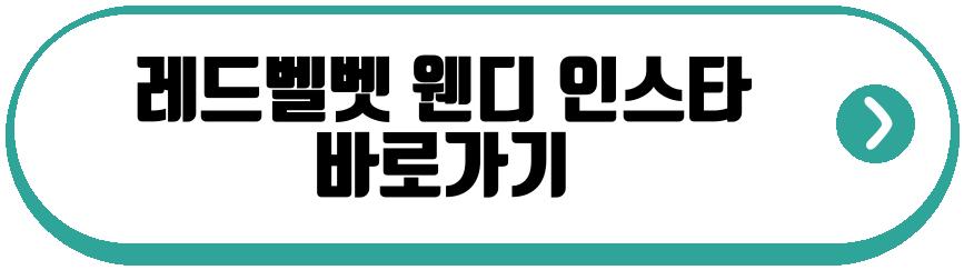 레드벨벳 웬디 근황