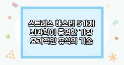 스트레스 해소법 5가지 뇌과학이 증명한 가장 효과적인 휴식의 기술
