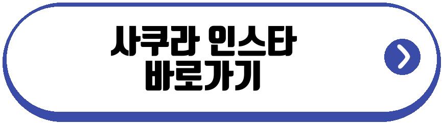 사쿠라 하이브