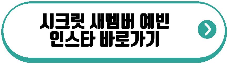 시크릿 새멤버 예빈