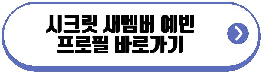 시크릿 새멤버 예빈