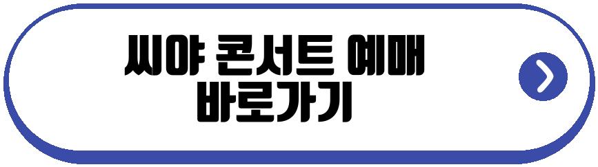 씨야 콘서트