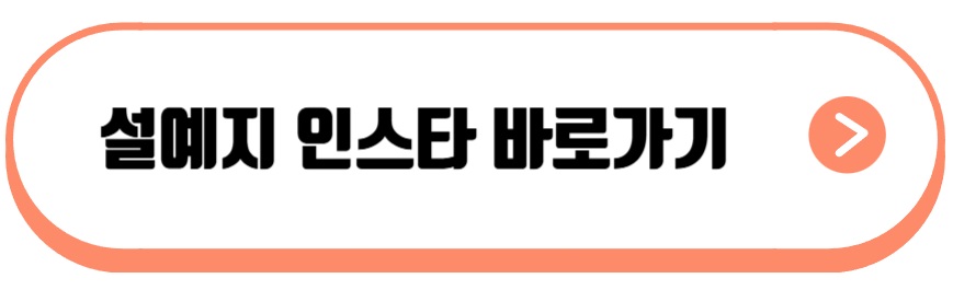 설예지 프로필