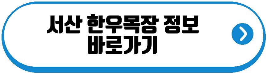 서산 한우목장 벚꽃