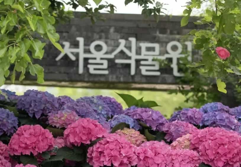 서울식물원
