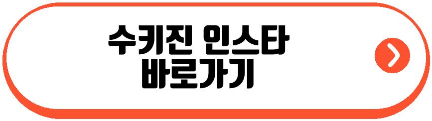 레드벨벳 슬기