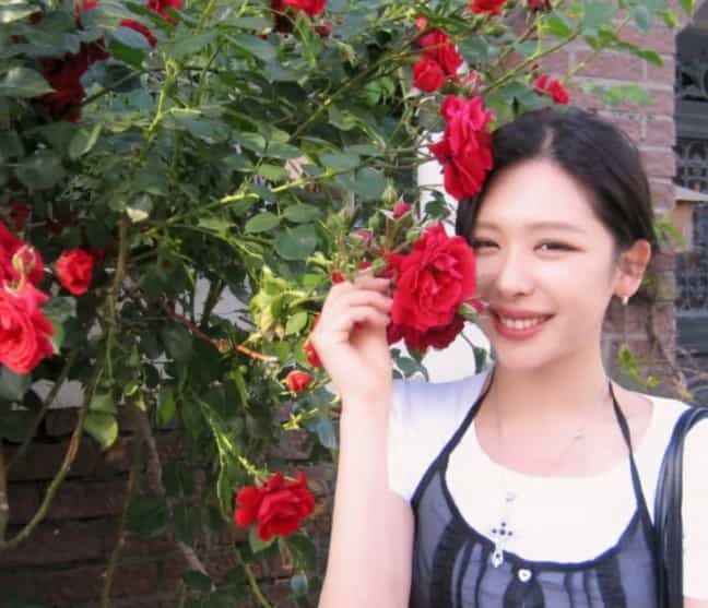 레드벨벳 슬기