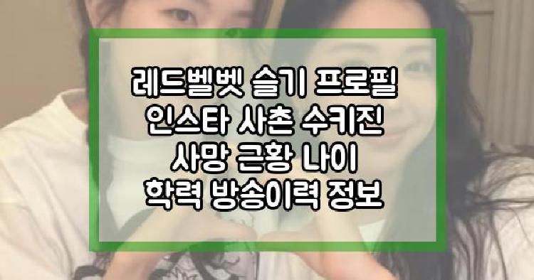 레드벨벳 슬기