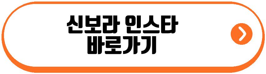 신보라 득남