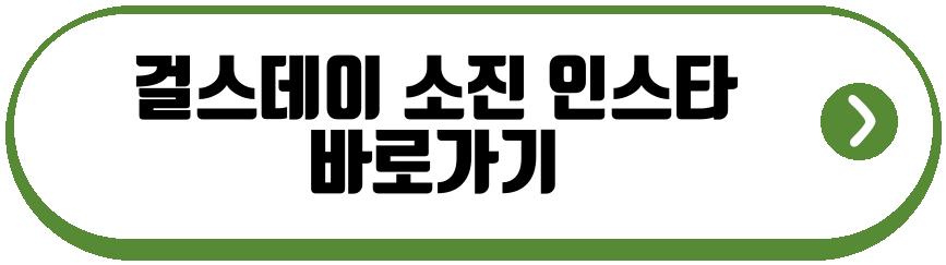 걸스데이 소진 신혼생활