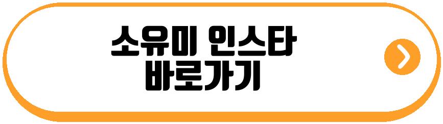 소유미