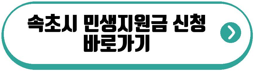 속초시 민생지원금