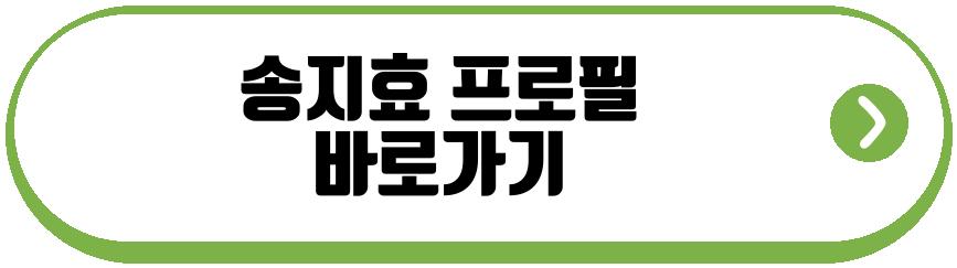 송지효