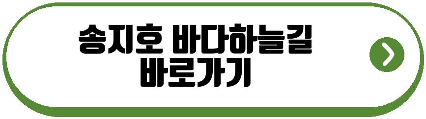 송지호 바다하늘길