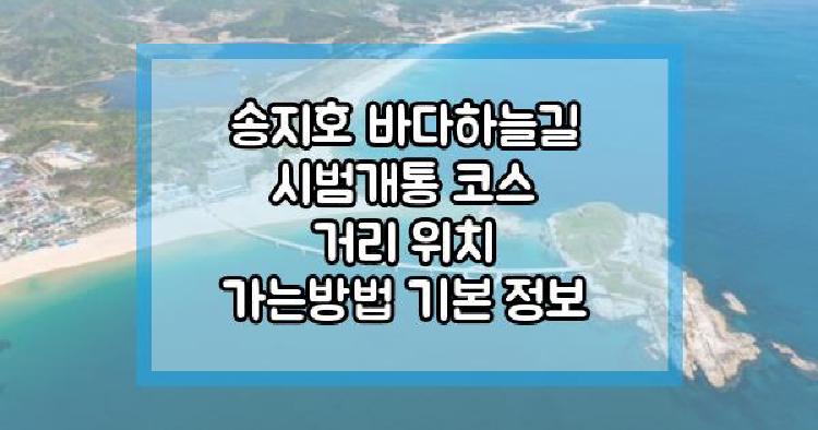 송지호 바다하늘길