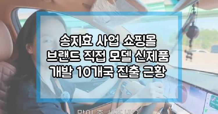 송지효 사업