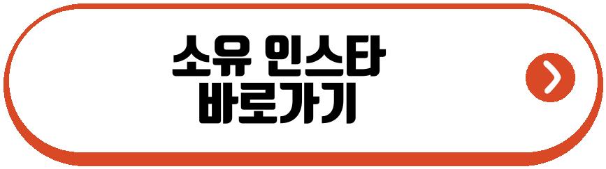 소유