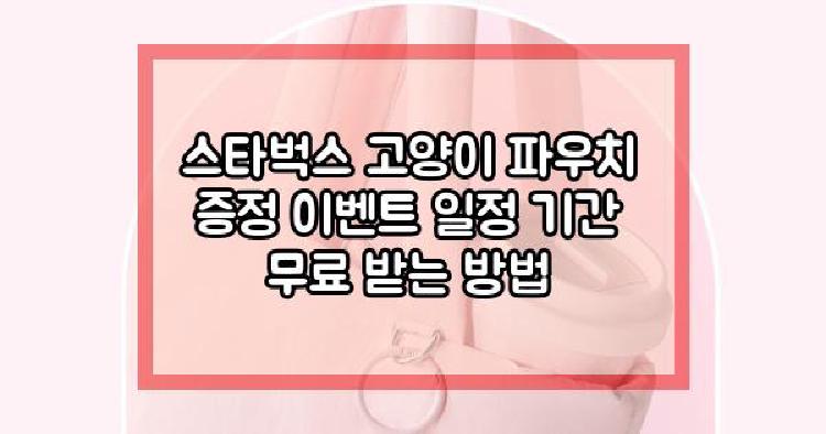 스타벅스 고양이 파우치