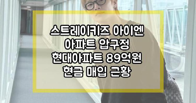 스트레이키즈 아이엔 아파트
