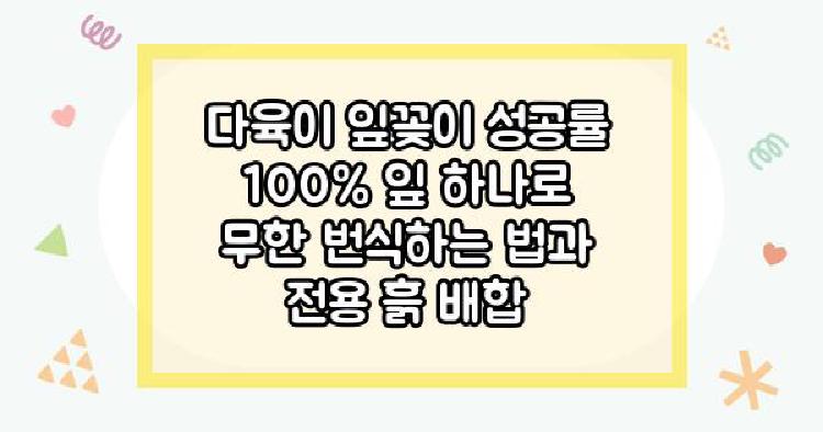 다육이키우는법 잎꽂이