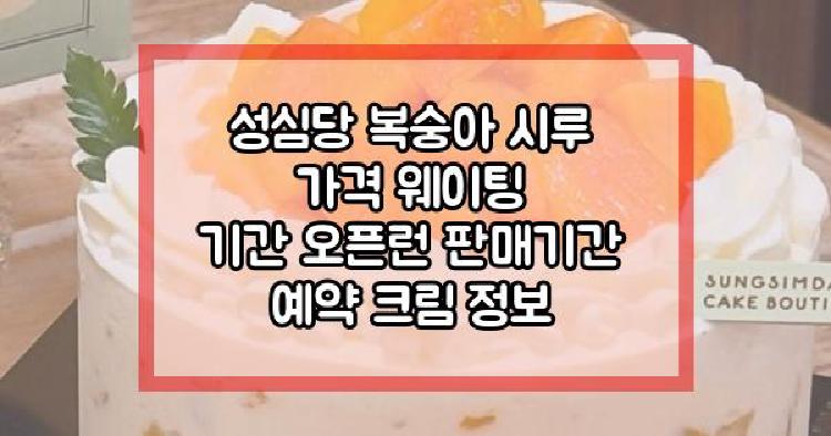 성심당 복숭아 시루
