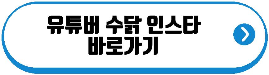 유튜버 수닭