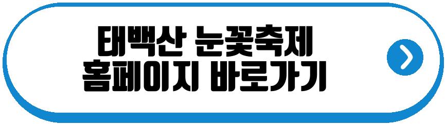 태백산 눈꽃축제