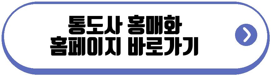 통도사 홍매화