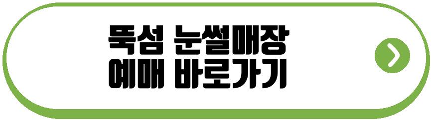 뚝섬 눈썰매장