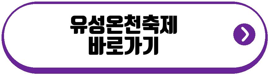 유성온천축제