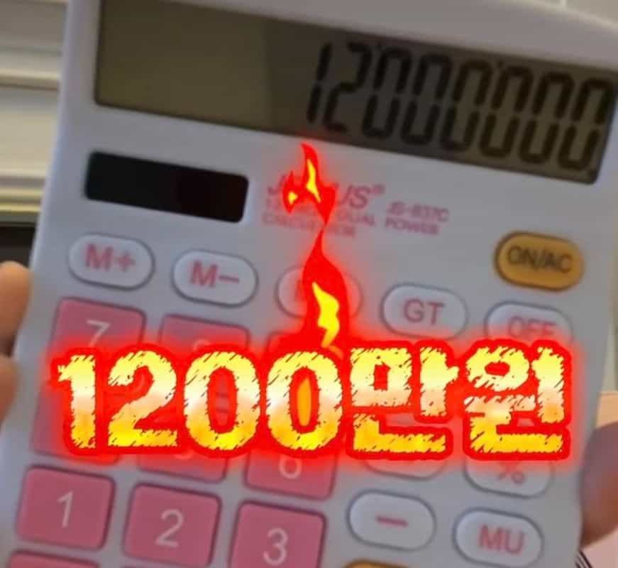 이해인