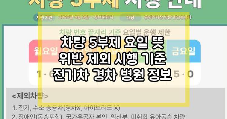 차량 5부제