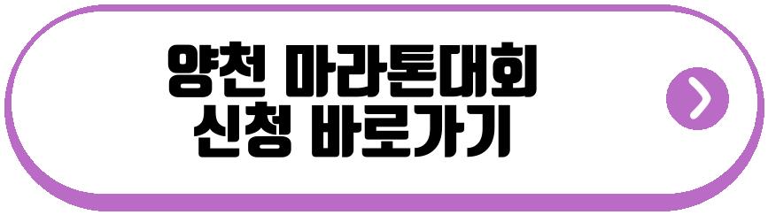 양천 마라톤대회