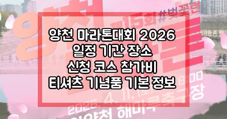 양천 마라톤대회