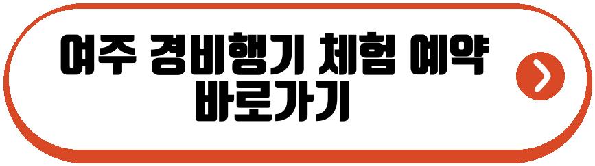 여주 경비행기 체험