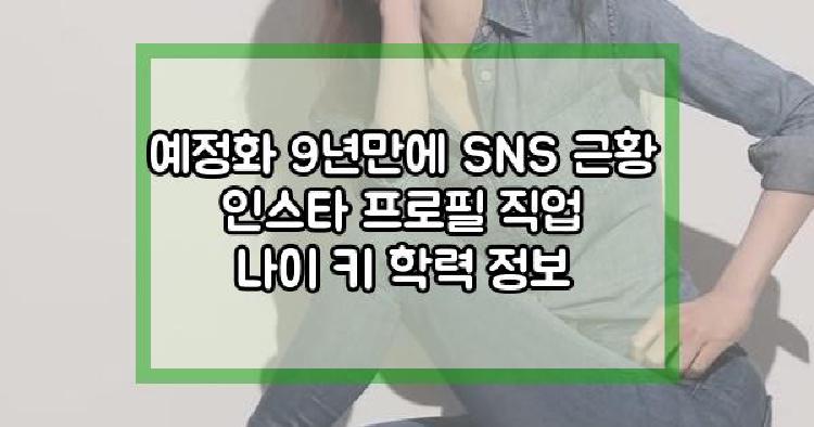 예정화