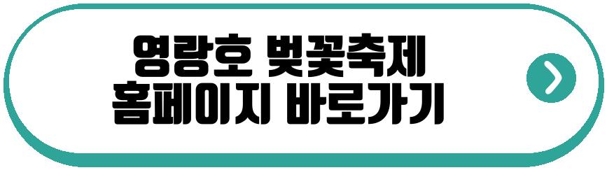 영랑호 벚꽃축제