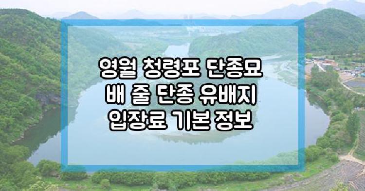 영월 청령포