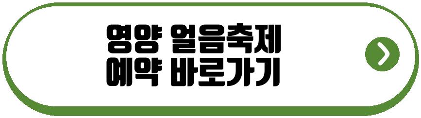 영양 얼음축제