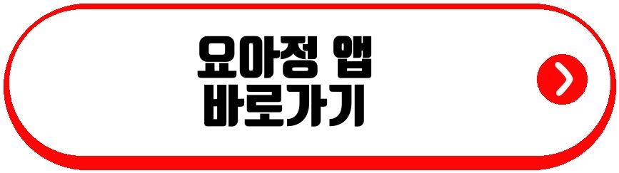 요아정 두쫀쿠