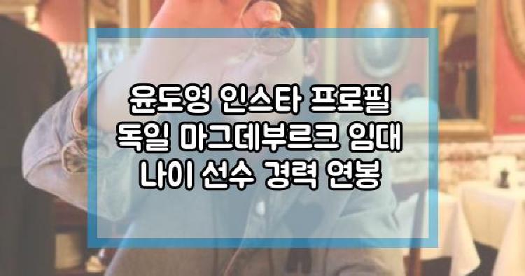 윤도영 프로필
