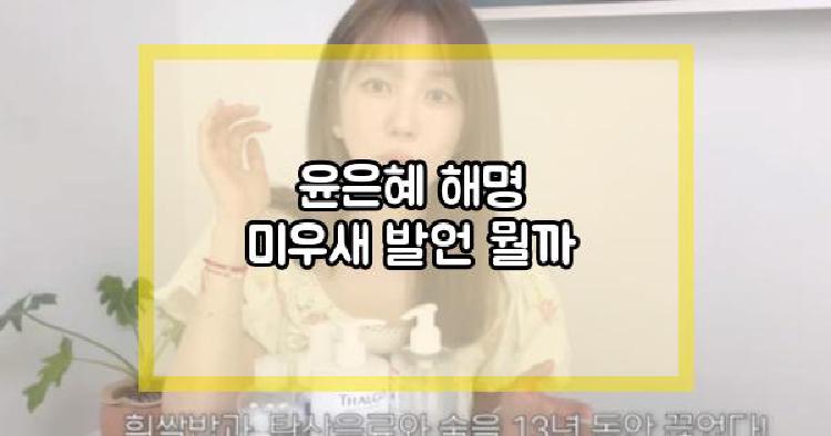윤은혜 해명