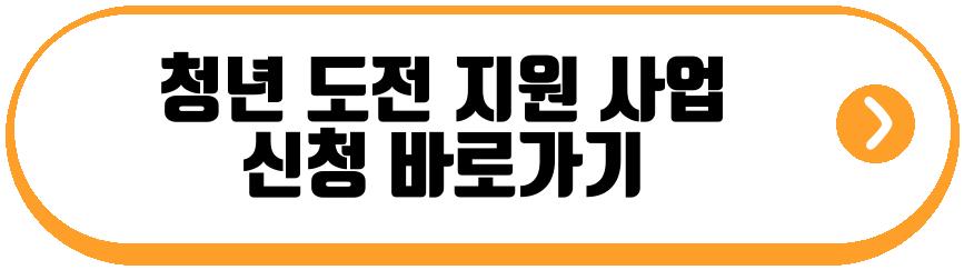 청년 도전 지원 사업
