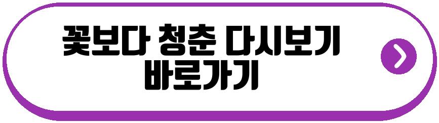 꽃보다 청춘